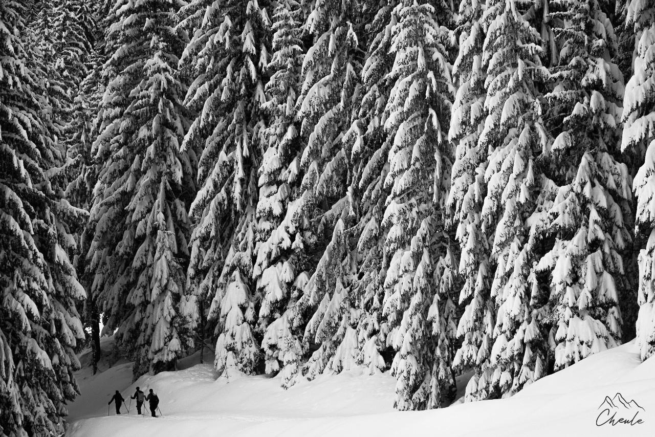 ©Cheule Photography - Noir & Blanc - Black and White - Neige - Paysage - Snow - Sapins - Ski de randonnée - Beaufortin - Skieurs - Savoie