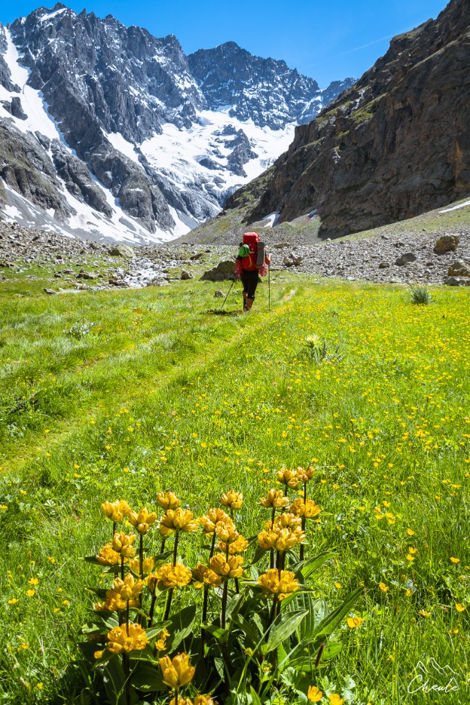 © Cheule Photography - Les Alpes et la vie qui fleurit - Alpinisme - Randonnée - Marche - Sources de la Romanche - Écrins - Hautes Alpes