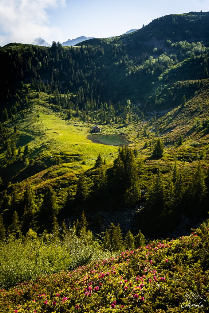 © Cheule Photography - Les Alpes et la vie qui fleurit -  Isère - Belledonne - Lac - Montagne - Lac du Léat - Cabane - Refuge - Printemps - Fleurs - Massif
