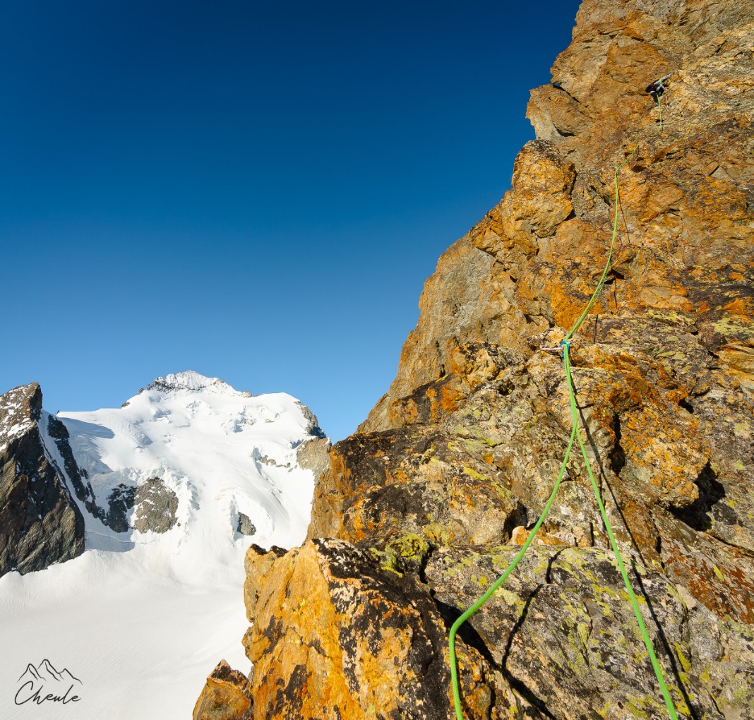 © Cheule Photography - Les Alpes et la vie qui fleurit - Alpinisme - Escalade - Pointe Louise - Course d'arête - Glacier Blanc - Écrins - Barre des Écrins - Hautes Alpes