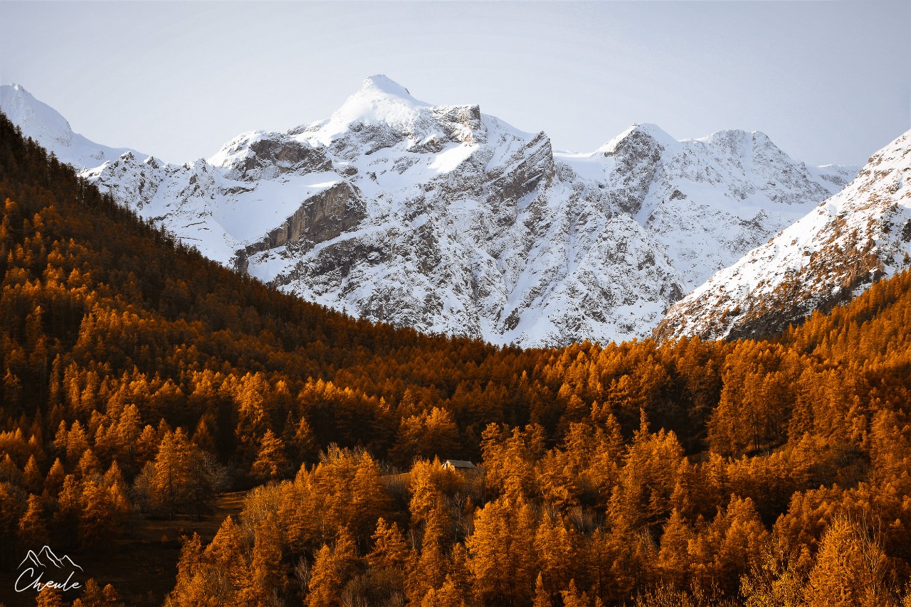 © Cheule Photography - Les Alpes et leur couleurs tango - Écrins - Dôme de Monêtier - Monêtier-les-Bains - Hautes Alpes - Mélèzes - Cabane - Forêt de mélèzes