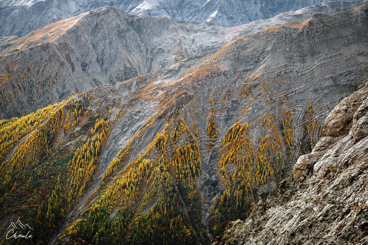 © Cheule Photography - Les Alpes et leur couleurs tango - La Blanche - Montagne - Paysages - Automne - Mélèzes - Hautes Alpes